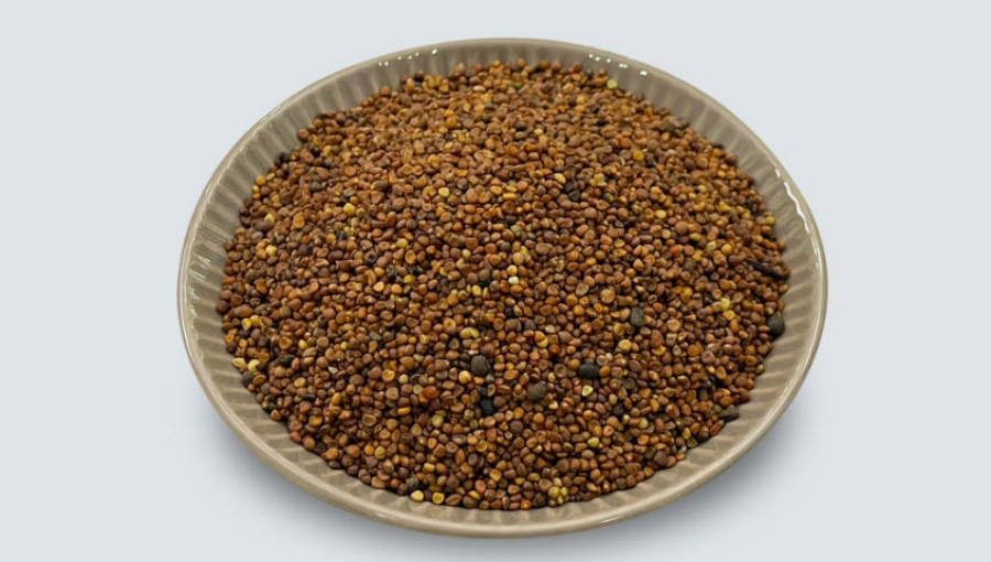 야생에서 채취를 한 토사자 나무의 씨앗인 토사자를 깨끗하게 세척을 한 후에 건조시킨 것을 하얀 바닥 위의 동그란 그릇에 가득 담아두고 찍은 사진