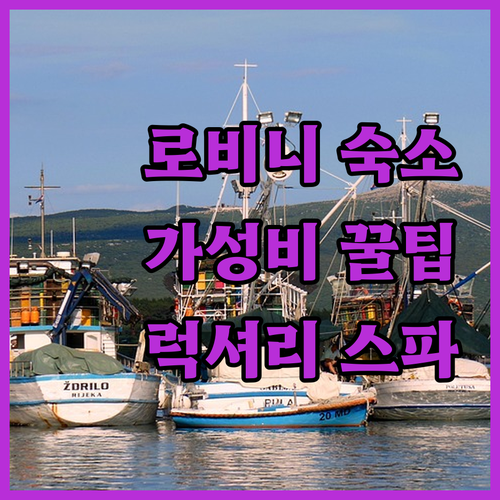로비니 자유여행객을 위한 가성비 숙소..