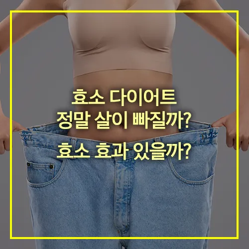 효소 다이어트 효과