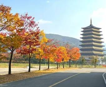 가을 경주 여행 가볼만한곳 베스트 10으로 정리_20