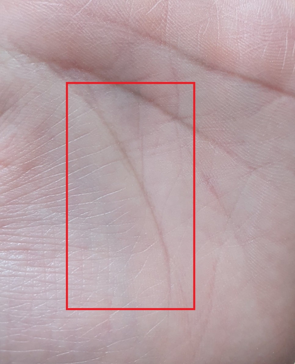 베네피트 더 포어페셔널