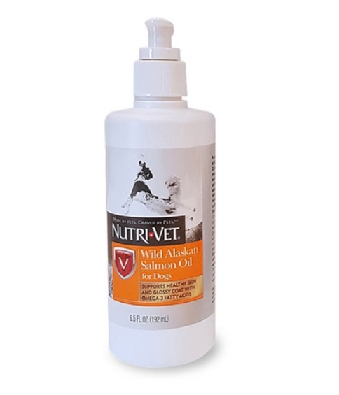 강아지 오메가 3 추천