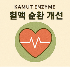 카무트 효소 효능