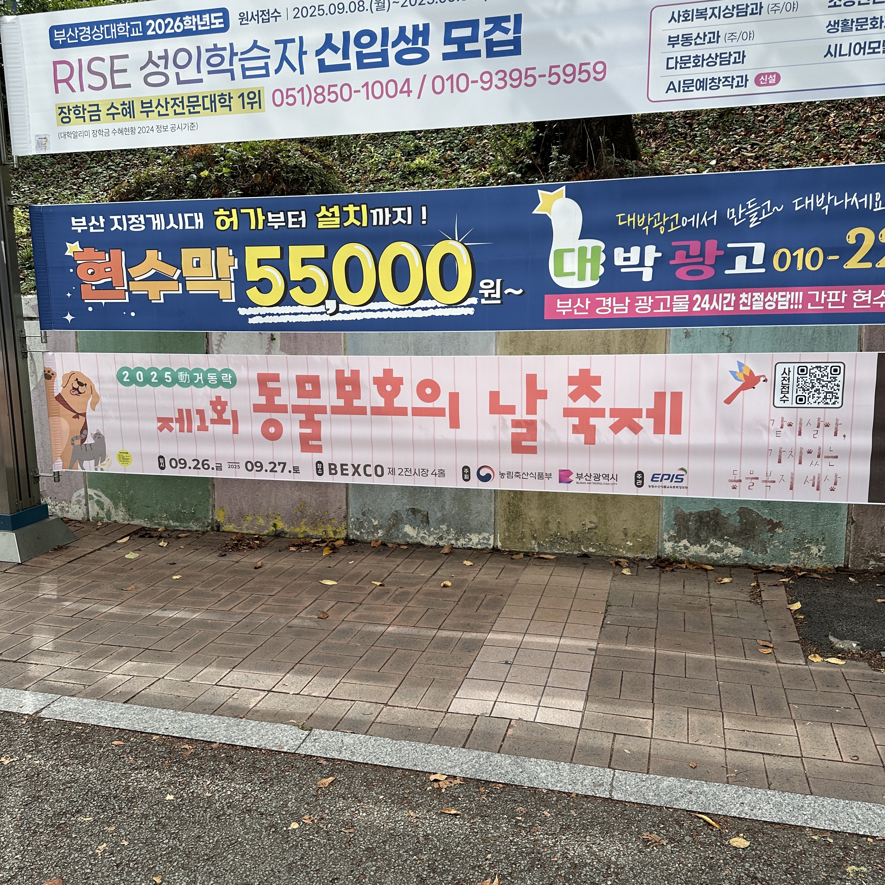 부산제1회동물보호의날축제