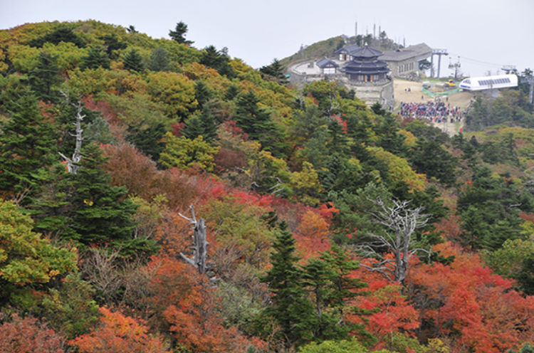 덕유산 케이블카