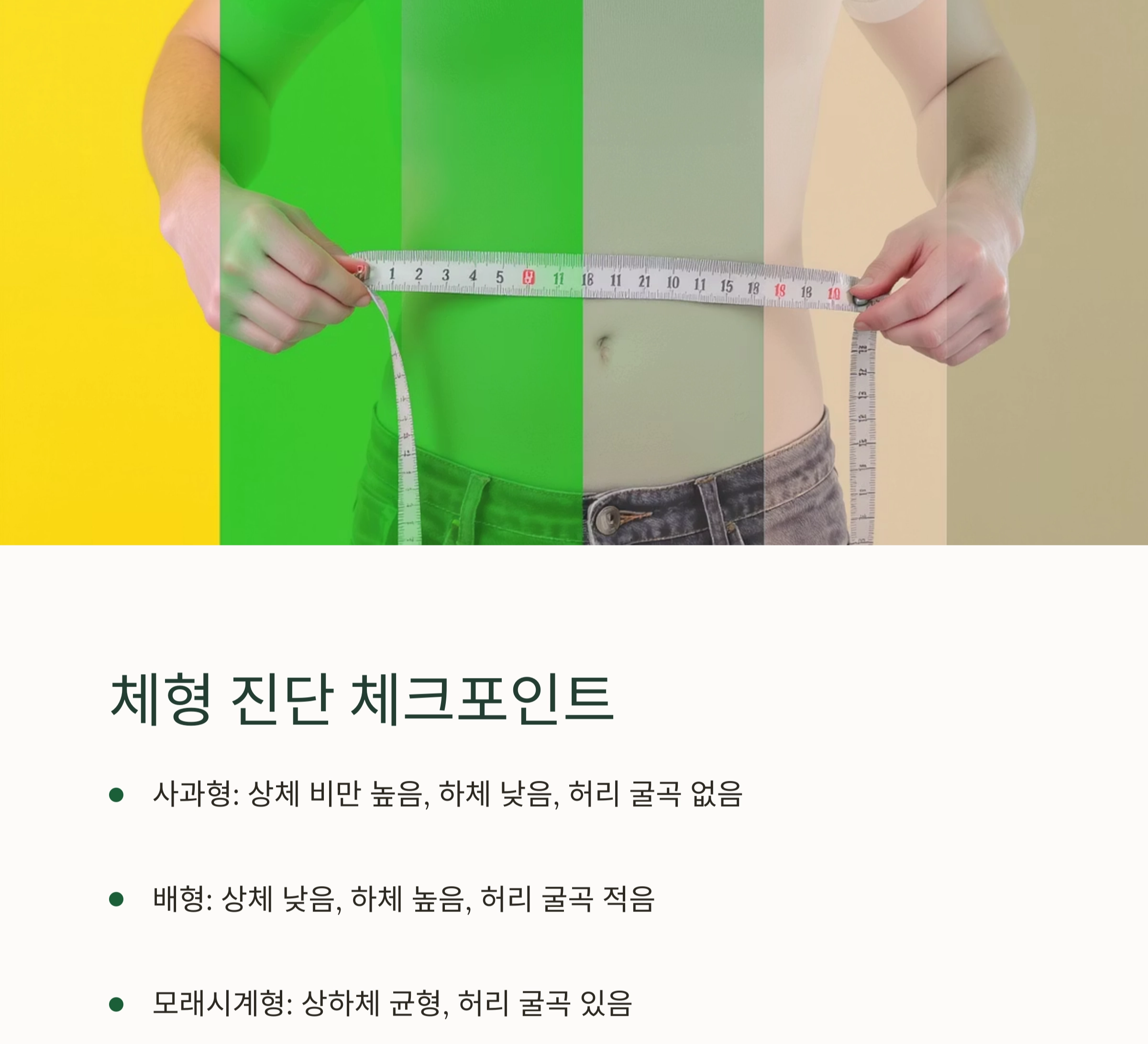 체형별 맞춤 운동 루틴 총정리! 나에게 꼭 맞는 운동법 찾기