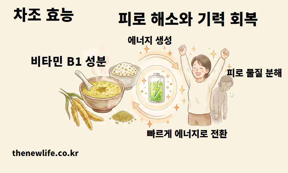 차조 효능 피로 해소 기력 회복