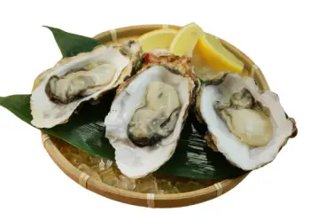 통영 생굴 1KG 가격&amp;#44; 굴 효능 및 영양소