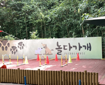 애견놀이터