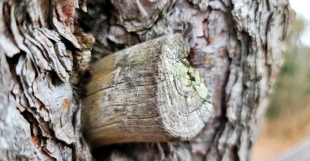 1월 네쨋주 수요 기도문