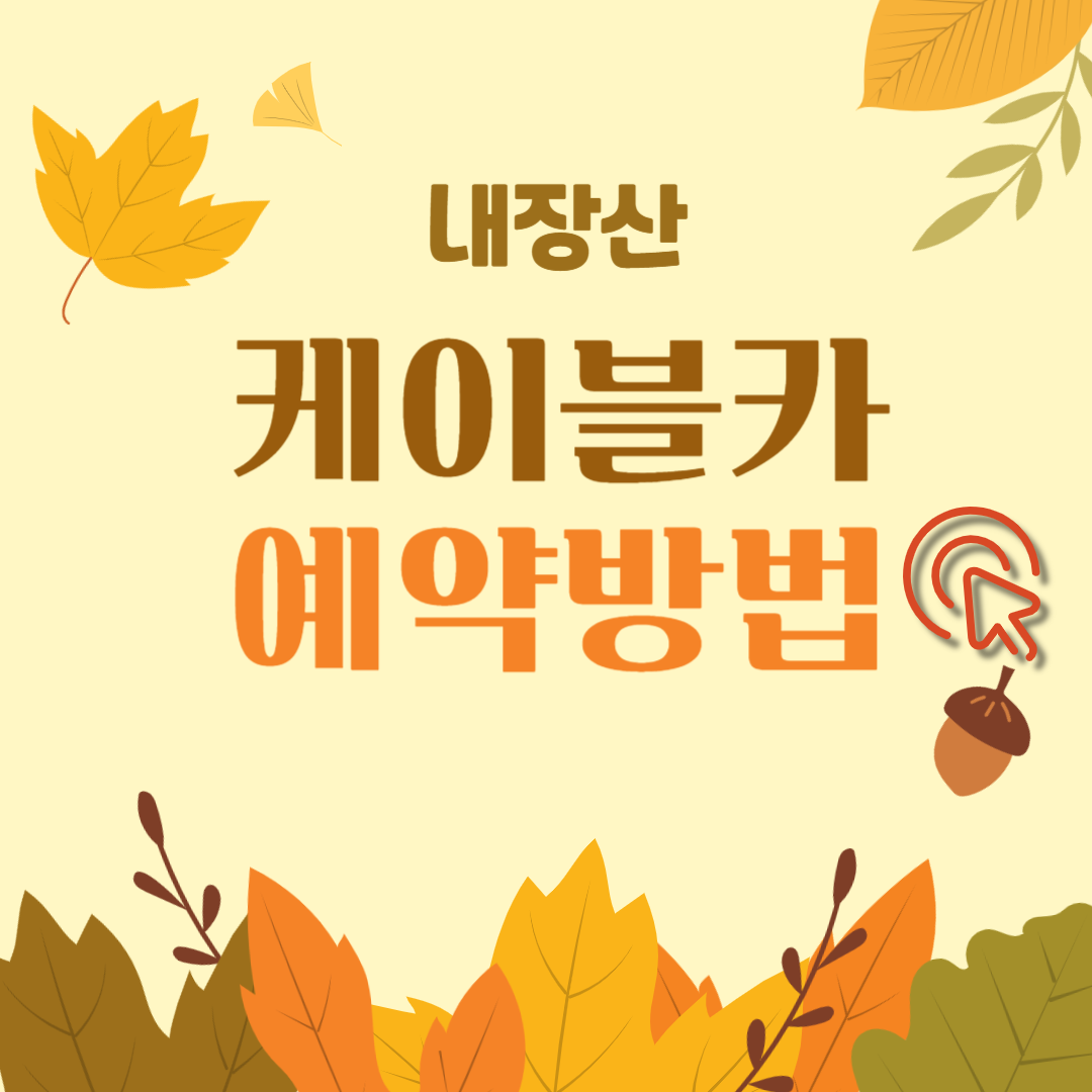 내장산 케이블카 예약방법 및 요금 상세 안내