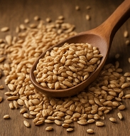 파로 곡물 효능