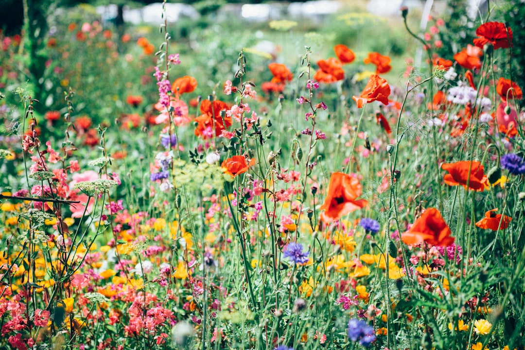 Floral