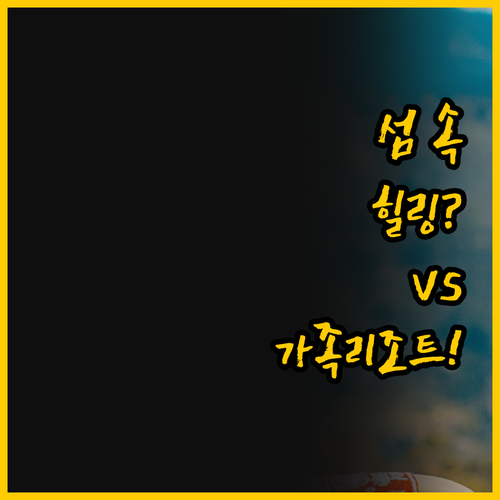 춘천 숙소 비교 섬 속 힐링 vs 가..