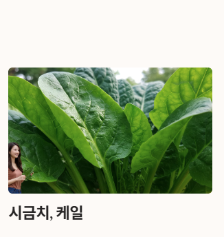 철분 많은 음식 BEST 10