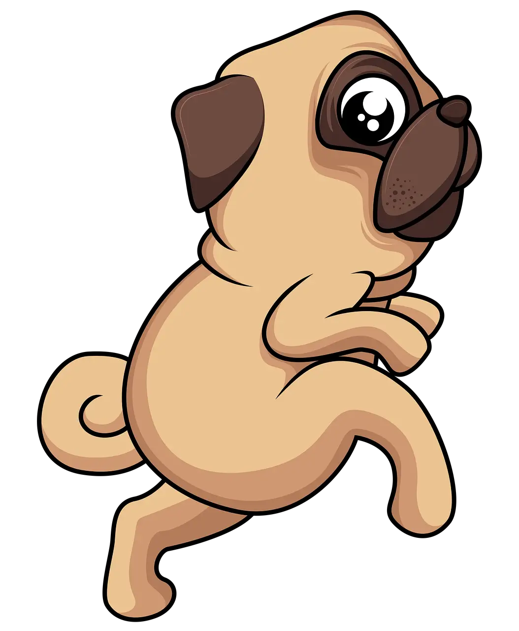 우리 집 강아지가 보내는 신호 해석하기 강아지 행동분석