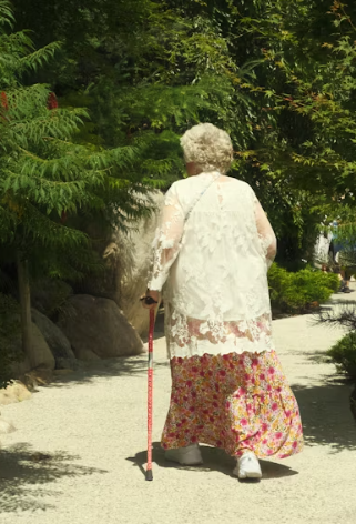 기초연금 수급자격