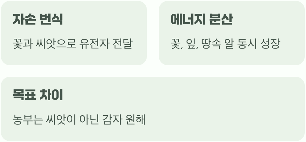 식물의 본능&amp;#44; 꽃을 피우는 이유