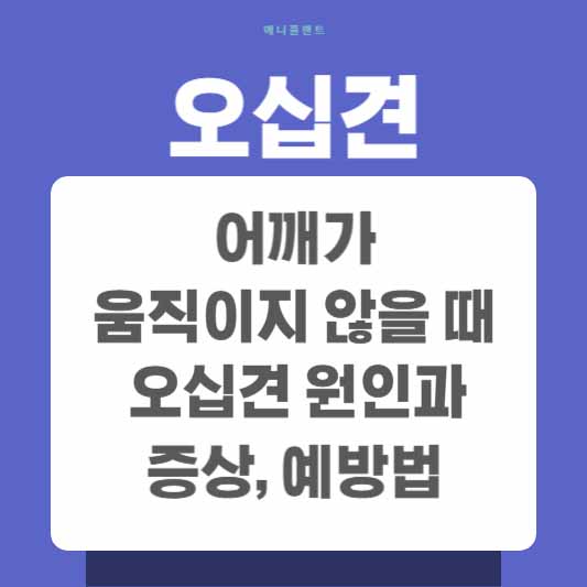 어깨가 움직이지 않을 때, 오십견 원인과 증상, 예방법