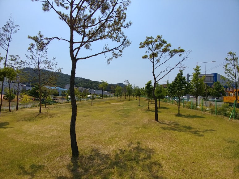 성서5차산업단지 파크골프장