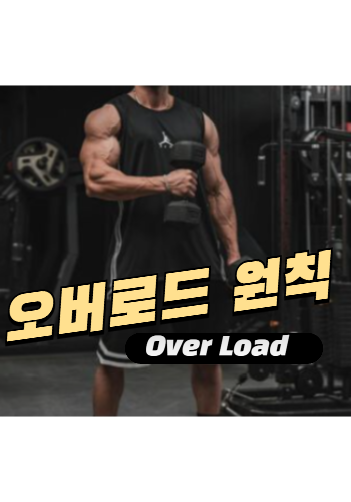 1.오버로드(Over Load) 원칙