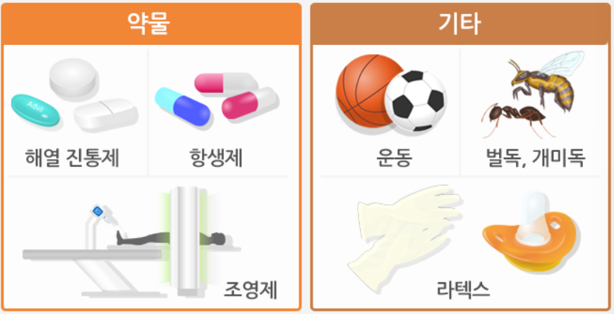 아나필락시스 쇼크