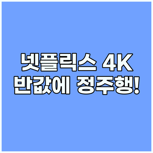 넷플릭스 4K 프리미엄 계정 공유 플..