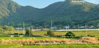 농작물 손해평가사