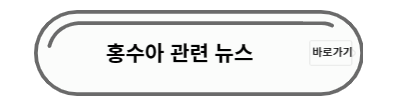 홍수아 뉴스