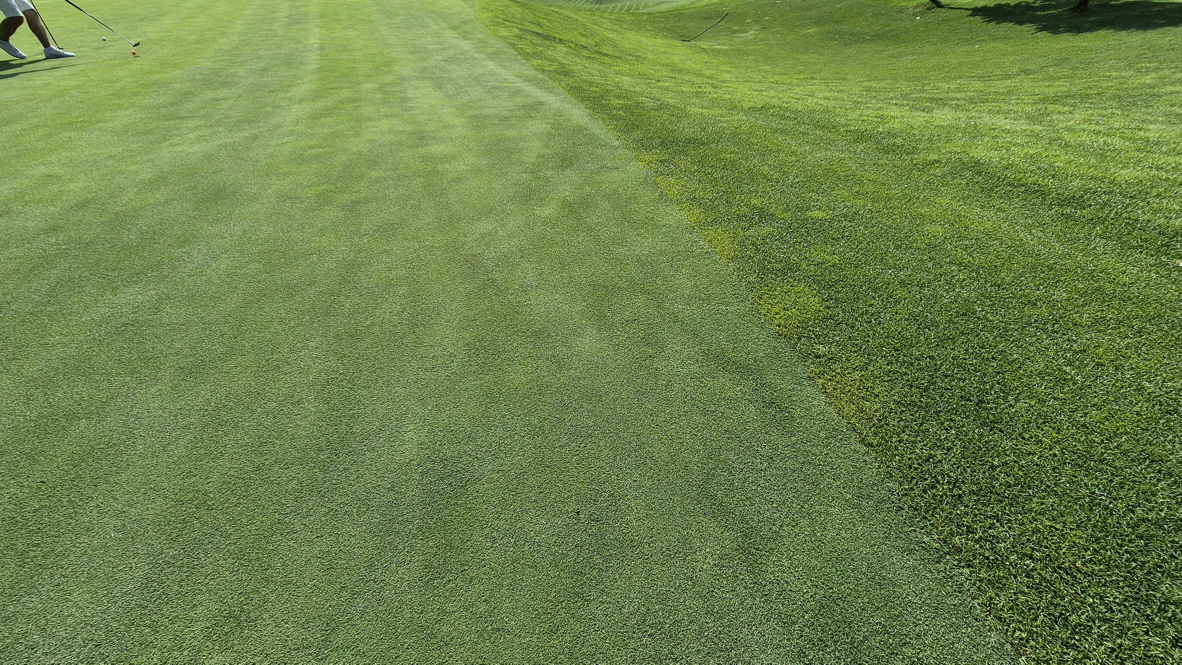 샤인데일cc 라운드 후기