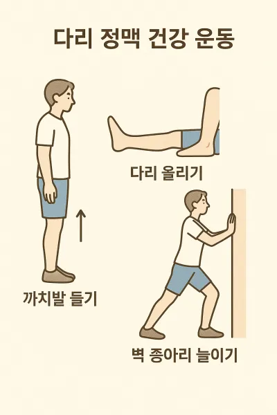 다리 정맥 건강 운동