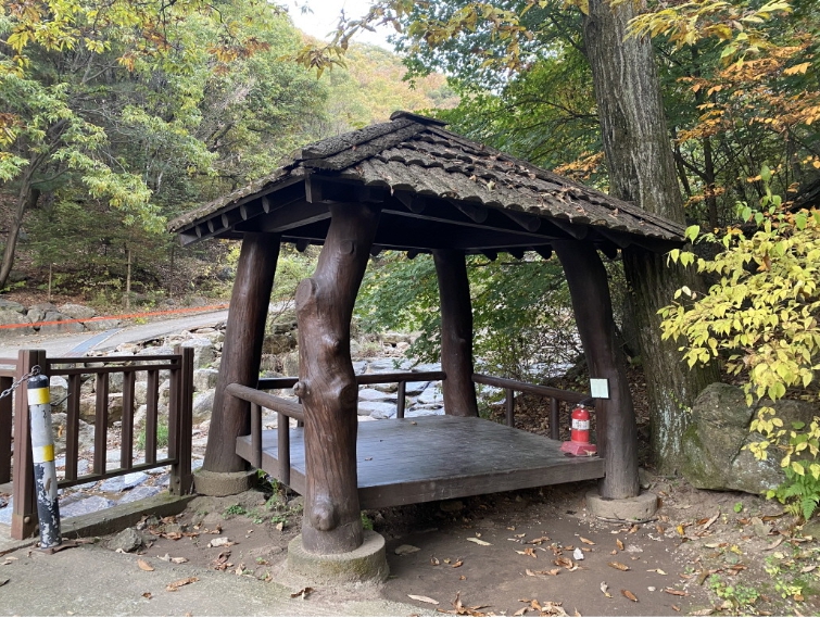 용인자연휴양림