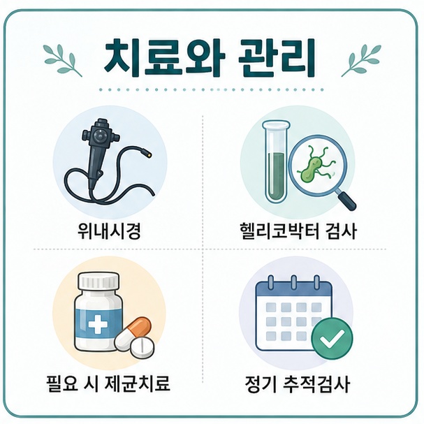 위내시경, 헬리코박터 검사, 필요 시 제균치료, 정기 추적검사 등 만성위축성위염의 치료와 관리 항목을 정리한 그림