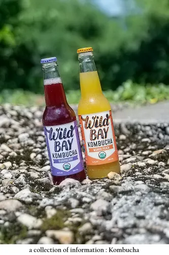 kombucha