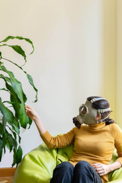 실내공기질이 생활환경과 일상에 미치는 영향과 중요성