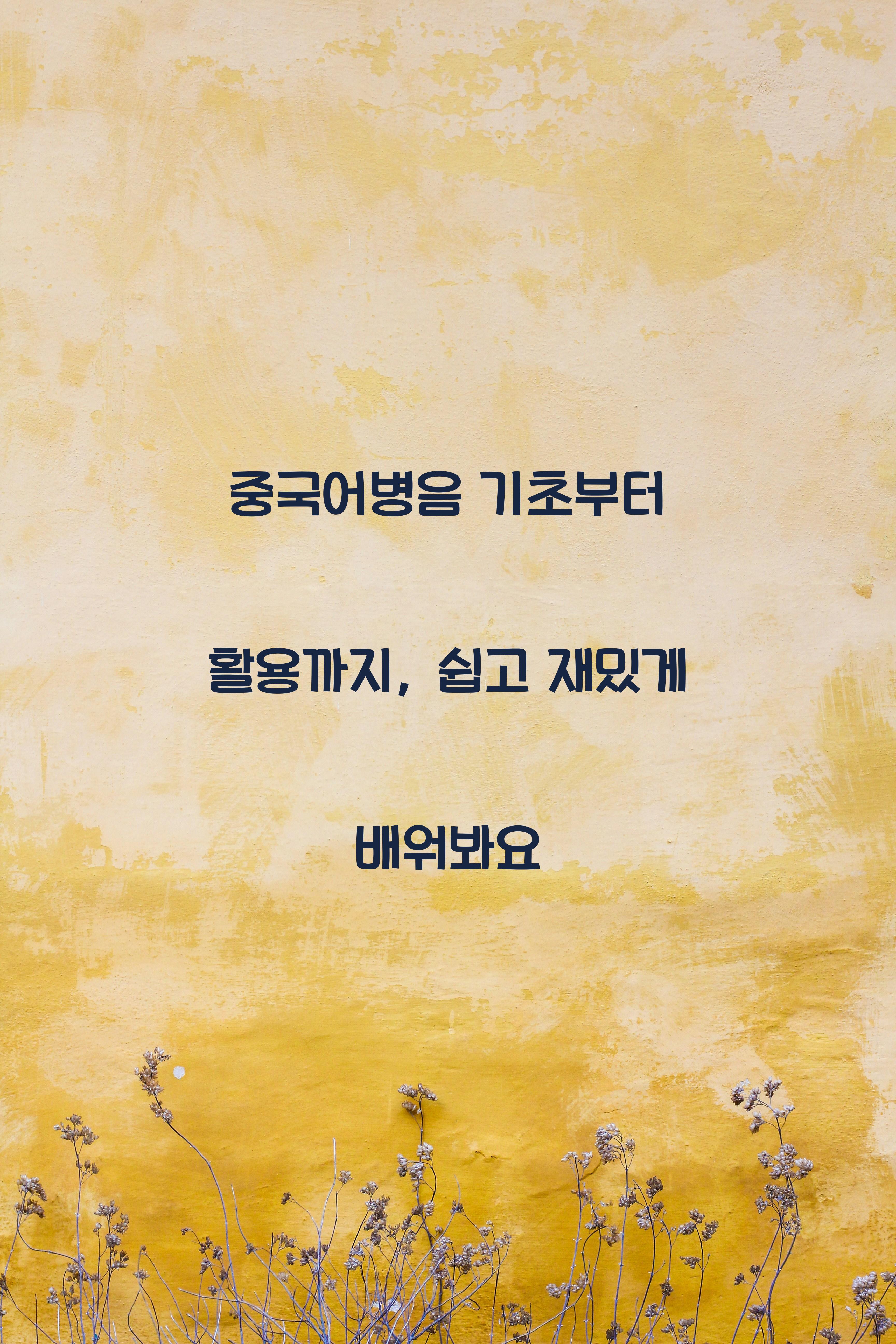 중국어병음