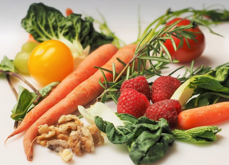 식단 관련 이미지