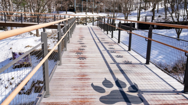 태백산 하늘전망대