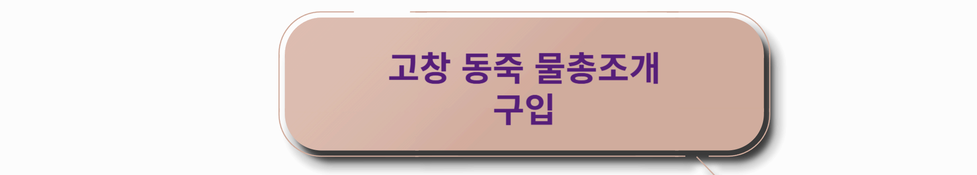 동죽조개 구입