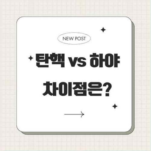 #전직대통령예우 #대통령연금 #대통령경호 #대통령의료지원 #대통령사무실 #국립묘지안장 #탄핵 #대통령법률 #전직대통령법 #대통령예우법 #사회적논란 #정치적책임 #헌법 #국가의전