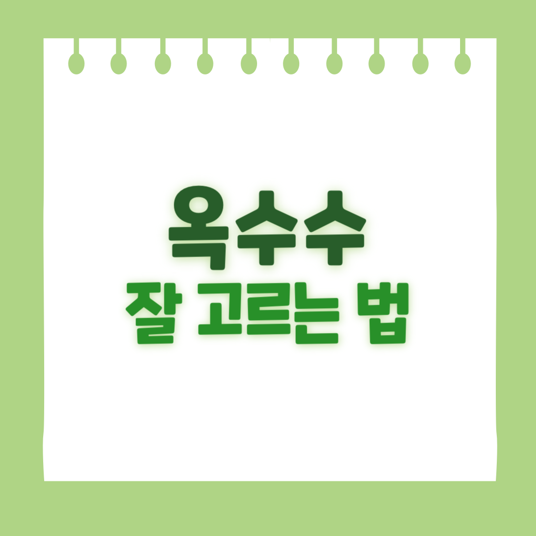 옥수수 잘 고르는 법