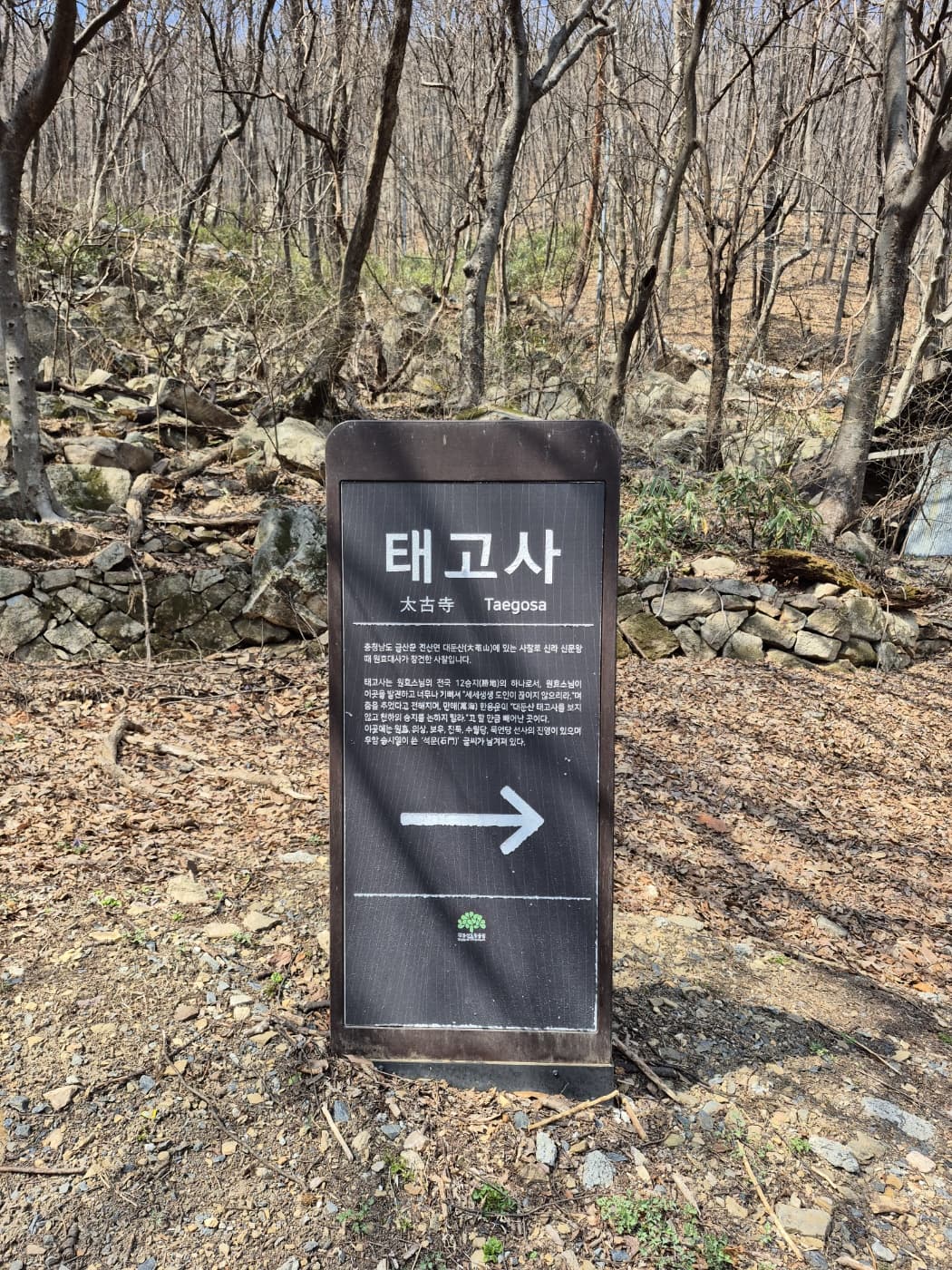 금산 태고사