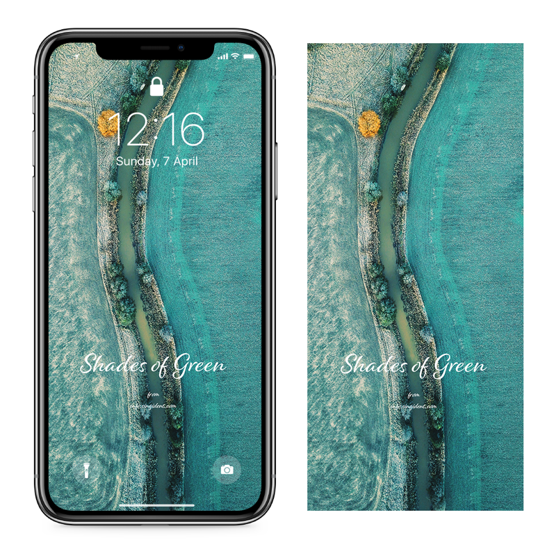 07 청록색 들판 C - 청록색배경화면