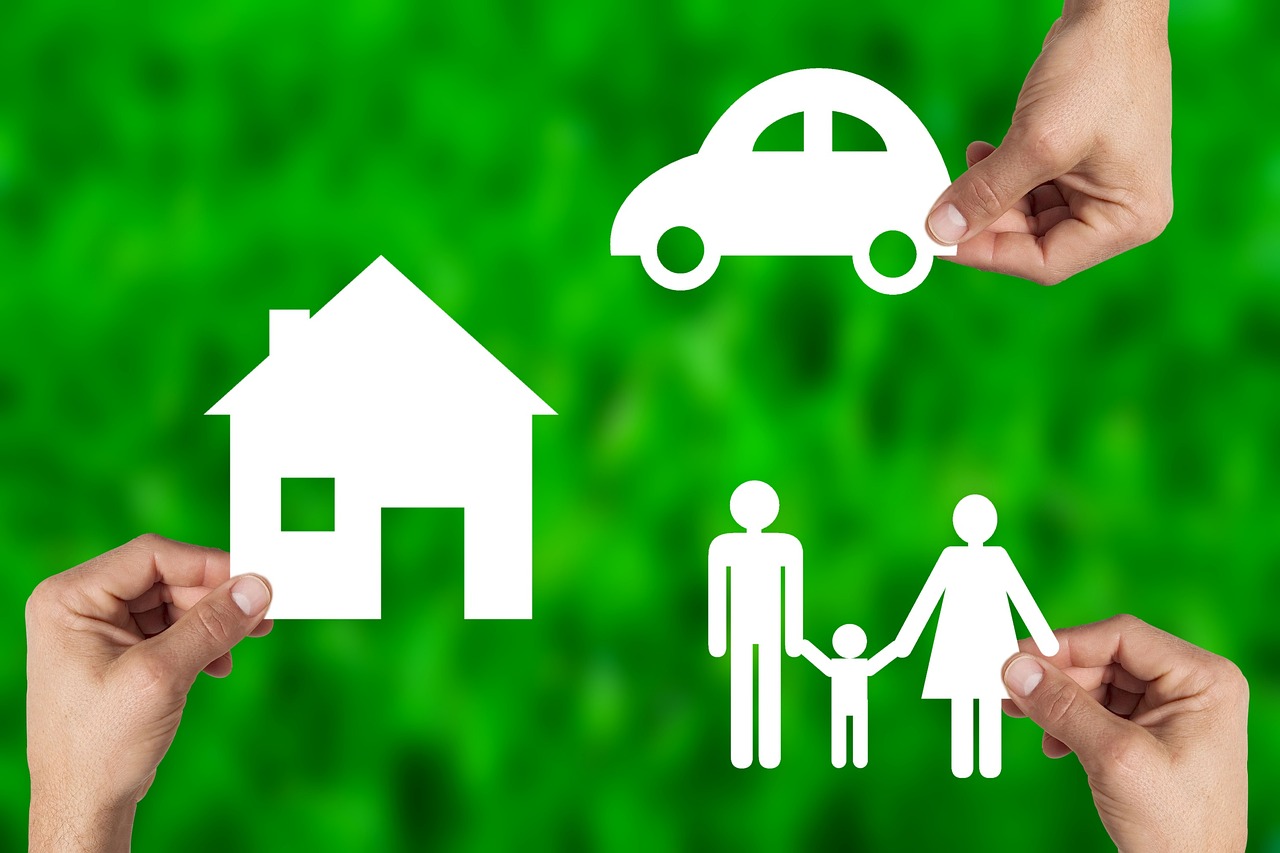 a car, a house, a family and the future
