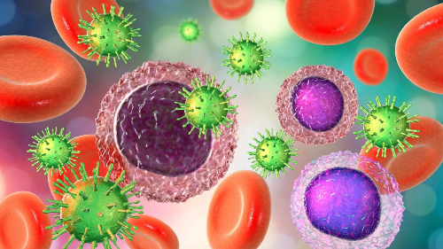 면역력 높이는 생활 습관 – 하루 10분 실천으로 병원 가지 않는 몸 만들기