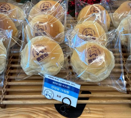 강원도 산양 체험 가능한 곳? 몽토랑목장 후기 정리해봤어요