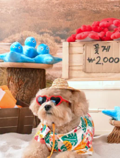 대구 성서 계대 다이소