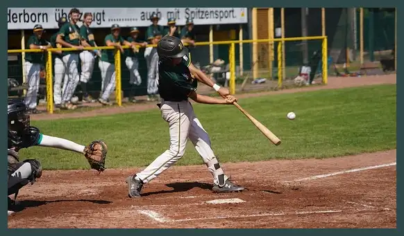 2024 프리미어12 결과 (한국 일본 대만 야구)