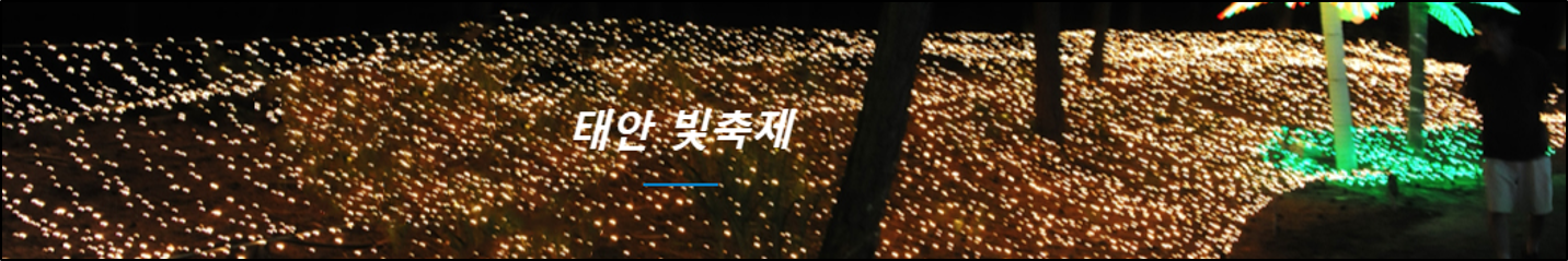 태안 빛축제
