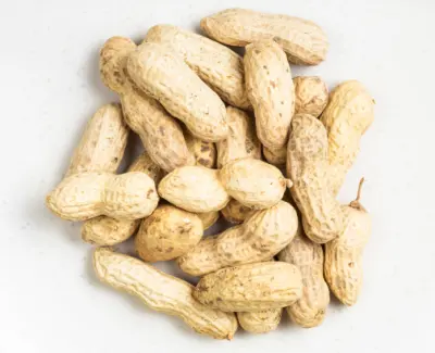 가을 제철 음식 땅콩 효능과 영양성분&amp;#44; 주의점